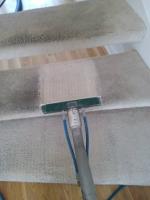 Dave's Carpet & Upholstery Cleaning Co. image 5